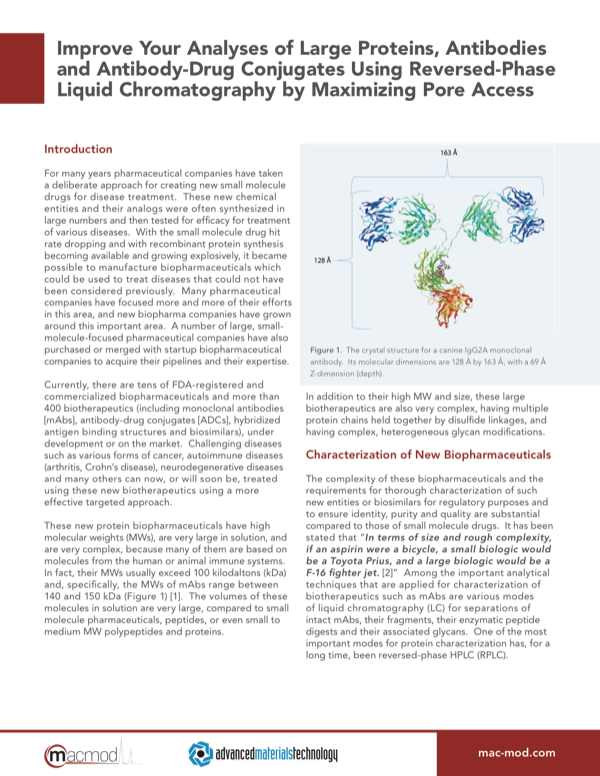 Proteins, Antibodies and AntibodyDrug Conjugates
